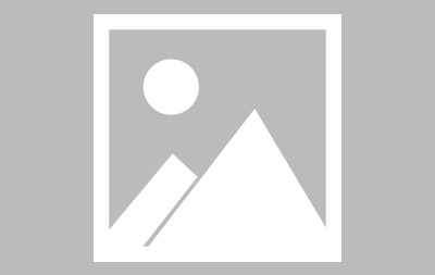 关于埃基蒂克在球队的效力经历很可能的信息