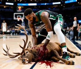 雄鹿队全明星球员受伤，队伍遭遇困境